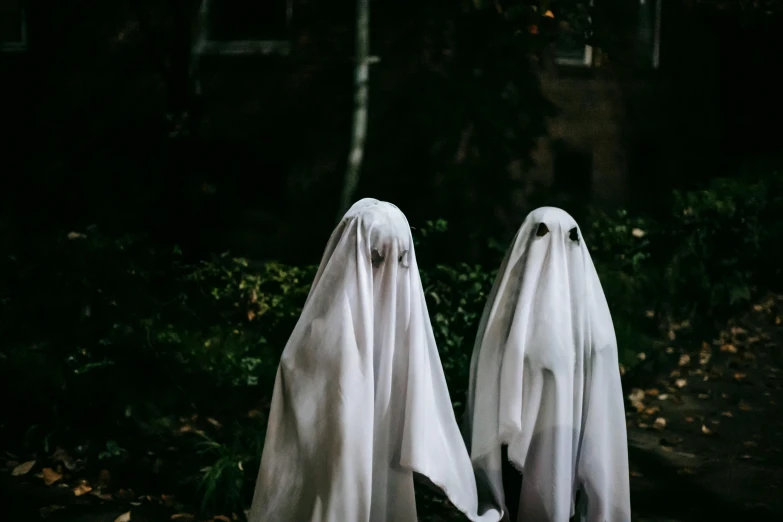 two ghosts standing next to each other in front of a building, pexels contest winner, antipodeans, wearing white cloths, diverse costumes, dark, wearing robes of silver