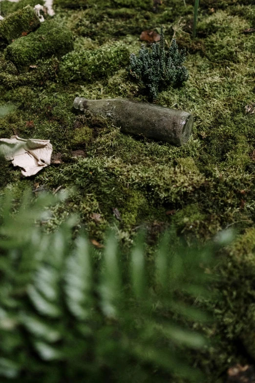 a pile of moss sitting on top of a forest floor, an album cover, unsplash, broken bottles, miniature model, ((forest)), overgrown garden