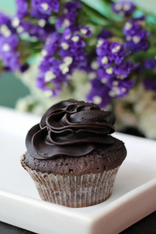 a chocolate cupcake sitting on top of a white plate, flowers, all black matte product, soft skin, more