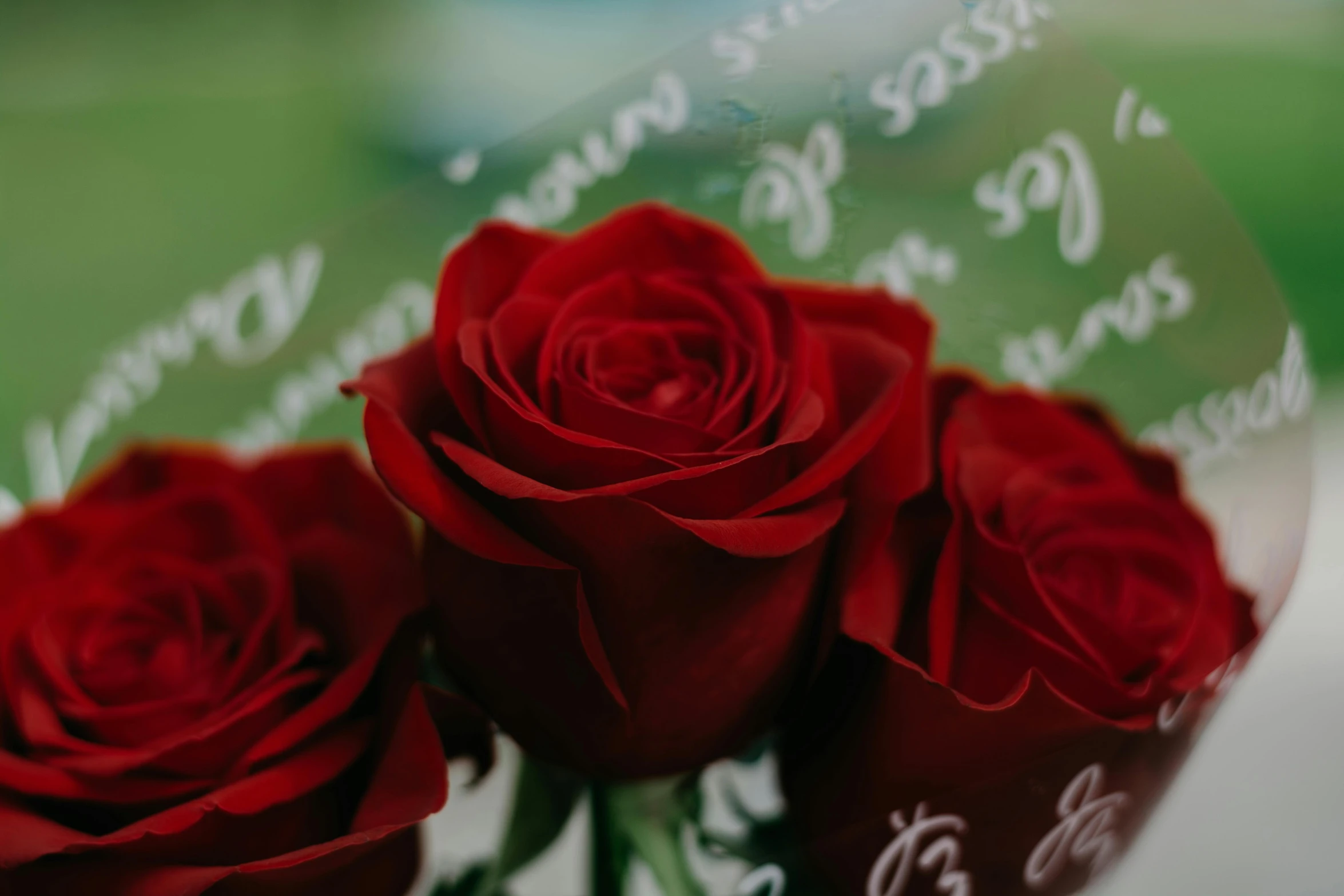 three red roses in a clear vase on a table, pexels contest winner, message, close up shot from the side, handwritten, detail shot