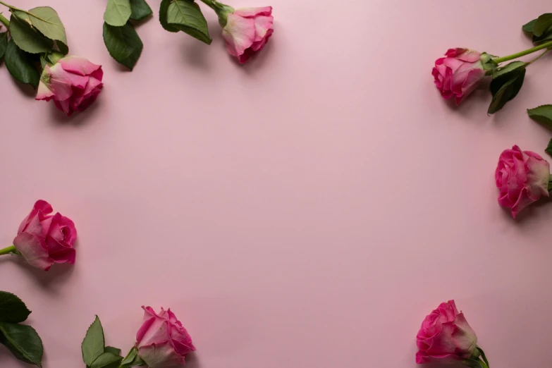 pink roses arranged in a heart shape on a pink background, by Carey Morris, trending on unsplash, romanticism, background image, flower frame, animation