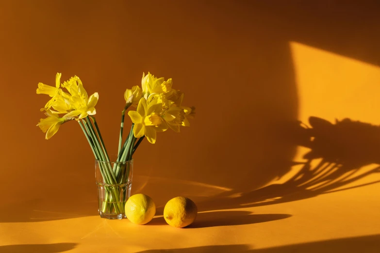 a vase filled with yellow flowers next to lemons, pexels contest winner, shadow and light, daffodils, product shoot, two suns