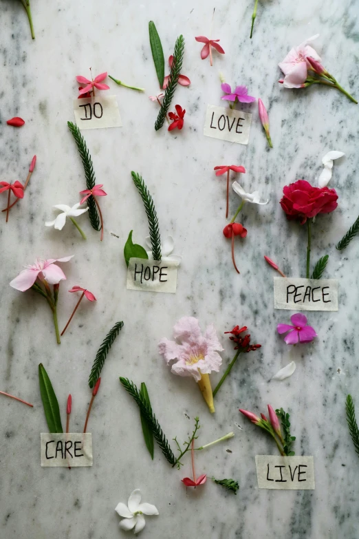 a table topped with lots of different types of flowers, inspired by Cy Twombly, trending on unsplash, ecological art, messages, on a large marble wall, broken hearts, holiday