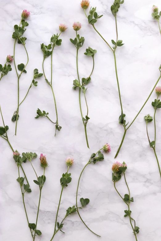 a bunch of flowers sitting on top of a table, inspired by Gentile Bellini, trending on unsplash, conceptual art, background full of lucky clovers, smooth marble surfaces, pale pink grass, high angle shot