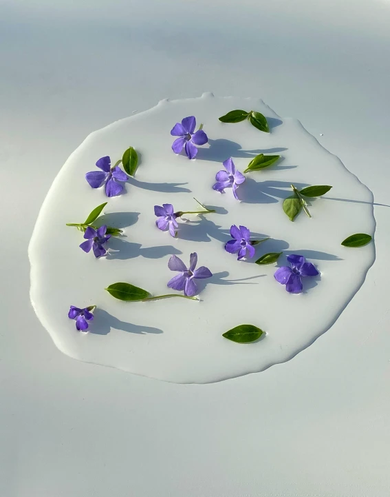 a white plate topped with purple flowers and leaves, inspired by Yves Klein, trending on unsplash, land art, puddle of milk, ignant, miniature cosmos, today\'s featured photograph 4k