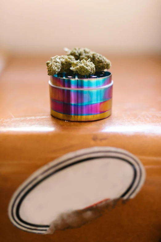 a small pot of marijuana sitting on top of a suitcase, unsplash, brightly colored, sitting on a lab table, low detail, headshot