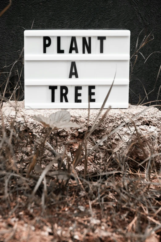 a sign that says plant a tree on it, trending on unsplash, land art, light box, white, plan, 33mm photo