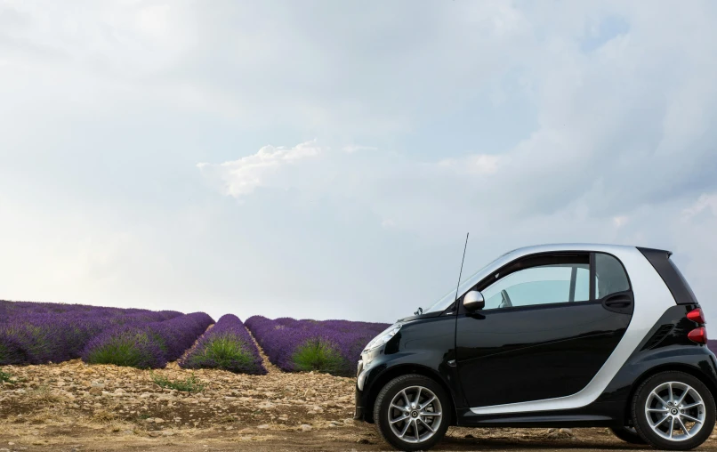 a smart car parked in front of a lavender field, les automatistes, black and purple, square, full body image, panoramic