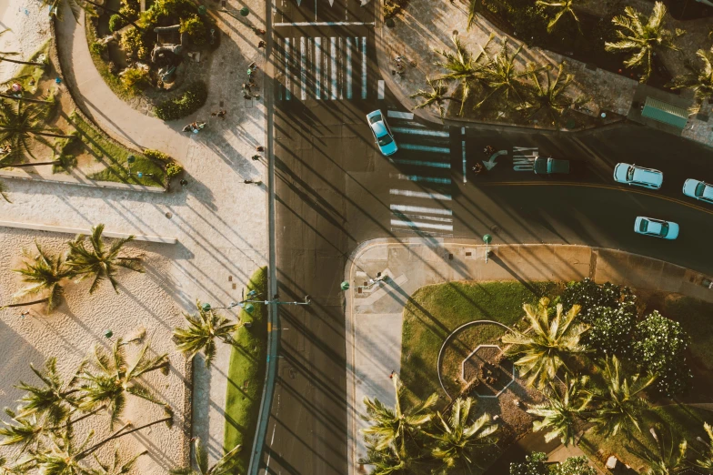 an aerial view of a street lined with palm trees, a screenshot, pexels contest winner, happening, crosswalks, tropics, thumbnail, afternoon light