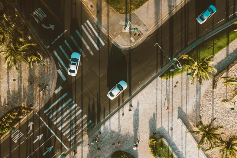 an aerial view of a street with cars and palm trees, pexels contest winner, square, vivid light, cinematic footage, crosswalk