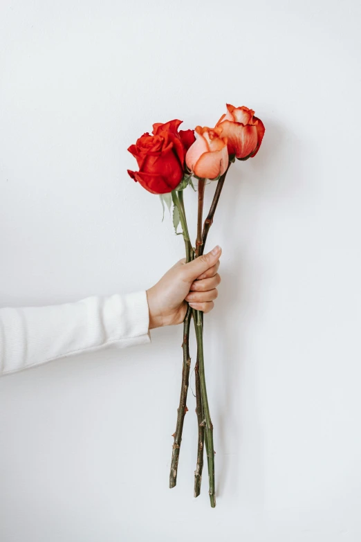 a person holding a bunch of red roses, by Kristin Nelson, minimalist photo, red and orange colored, sweet hugs, four hands