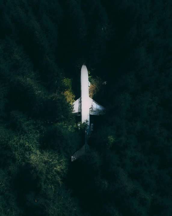 a large jetliner sitting on top of a lush green forest, by Jessie Algie, unsplash contest winner, astronaut below, upsidedown, trending on vsco, low light