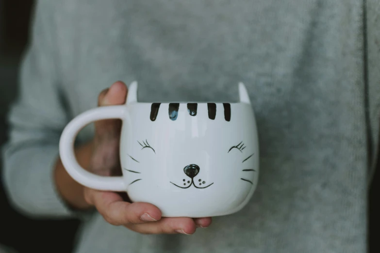 a person holding a cat mug in their hands, unsplash, close up face detail, winking, grey, decoration