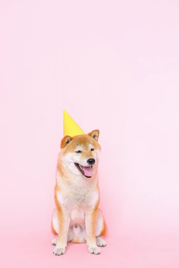 a dog wearing a party hat on a pink background, by Julia Pishtar, trending on unsplash, shiba inu, a still of a happy, 000, kousuke oono