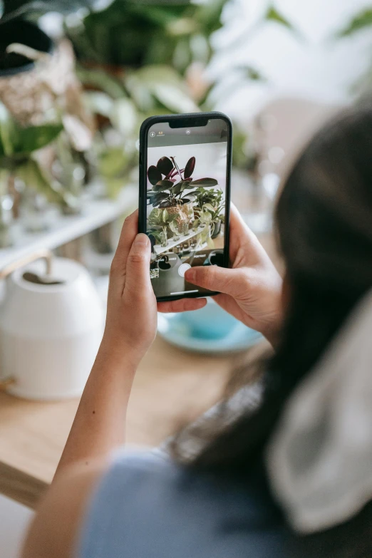 a woman taking a picture of a potted plant, trending on pexels, avatar image, curated collections, back - shot, full device