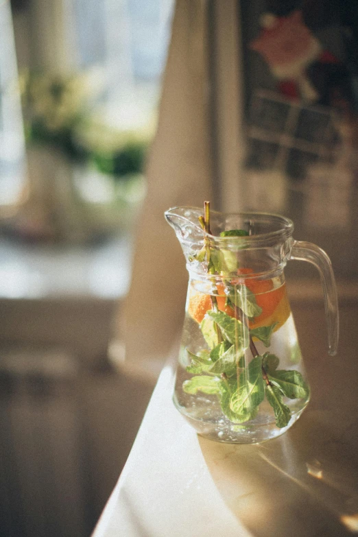 a pitcher filled with water sitting on top of a counter, a still life, pexels, herbs, crisp detail, healthy, cheery