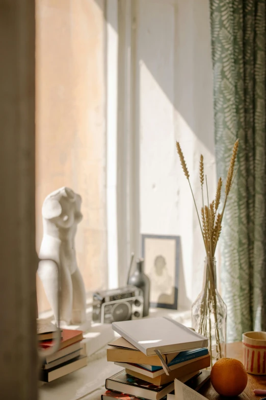 a stack of books sitting on top of a table next to a window, a picture, inspired by André Kertész, unsplash, vases and a plaster bust, morning detail, hay, detail shot