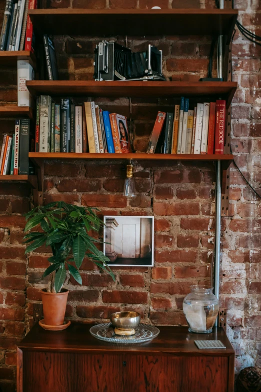 a bookshelf filled with lots of books next to a brick wall, a portrait, inspired by Elsa Bleda, unsplash, cafe interior, potted plant, 2000s photo, lush brooklyn urban landscaping