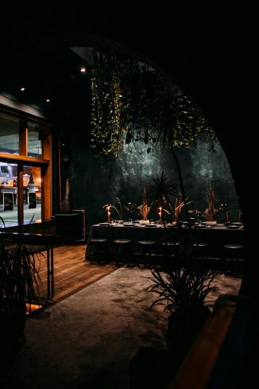 the outside of a restaurant lit up at night, a portrait, unsplash, terrarium lounge area, dark concrete room, scene from a dinner party, with archways