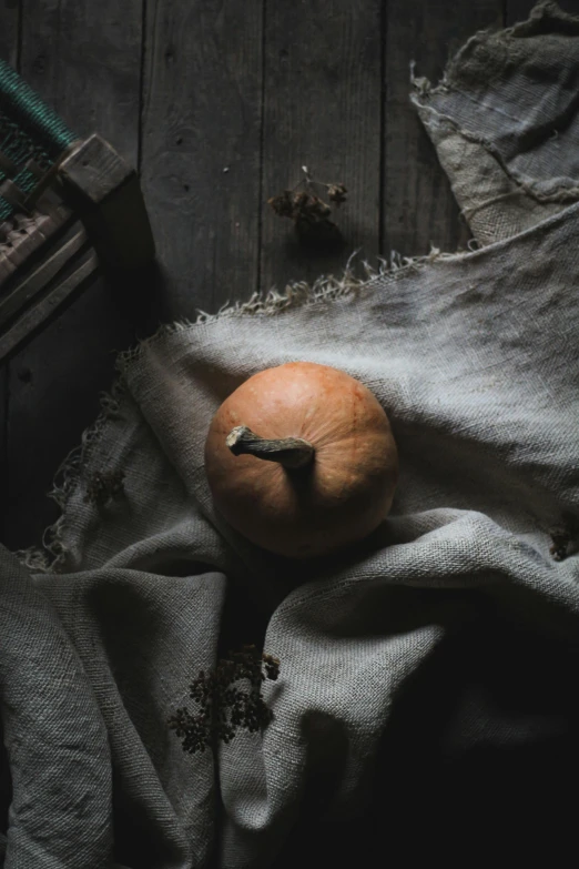 a pumpkin sitting on top of a blanket next to a book, by Sebastian Spreng, unsplash contest winner, renaissance, dressed in a worn, promo image, grey, cornucopia