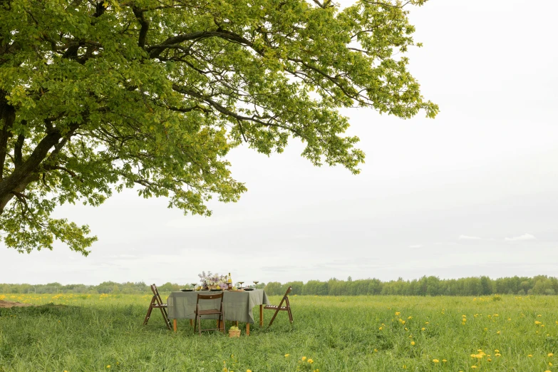 a table set up under a tree in a field, inspired by Konstantin Somov, unsplash, renaissance, grey, conde nast traveler photo