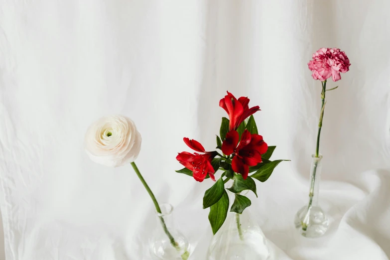 three vases with flowers in them on a table, by Carey Morris, trending on unsplash, romanticism, red flowers of different types, on a pale background, background image, glass domes