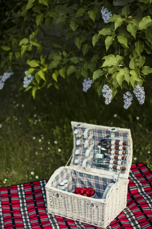 a picnic basket sitting on top of a blanket, by Elsa Bleda, unsplash, folk art, lilac bushes, blue and red color scheme, minn, 15081959 21121991 01012000 4k