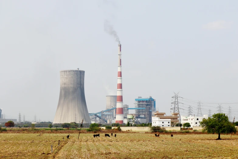 cows graze in a field in front of a nuclear power plant, samikshavad, listing image, thumbnail, smokey chimney, indore