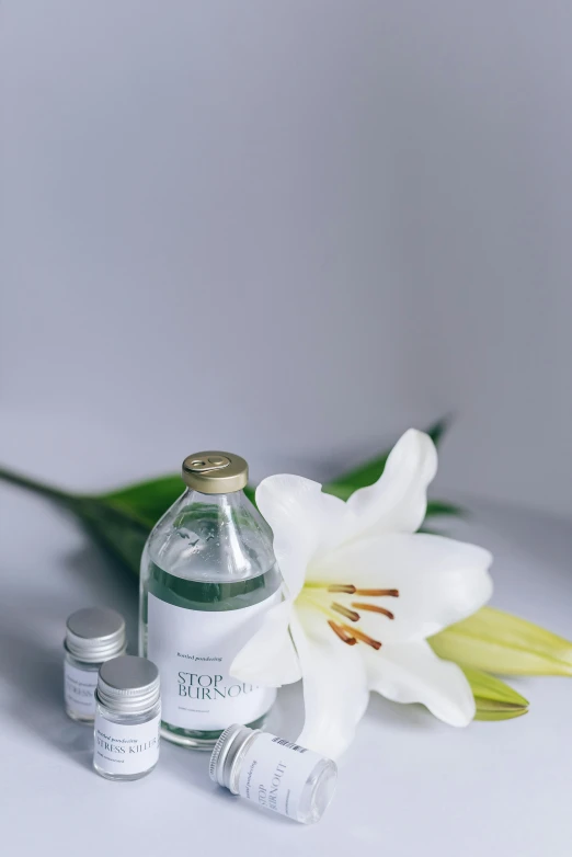 a close up of a bottle of liquid next to a flower, white lilies, product view, zinc white, mini model