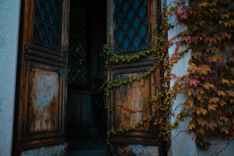 a close up of an open door on a building, inspired by Elsa Bleda, pexels contest winner, aestheticism, covered in vines, somber colors, promo image, photo of poor condition