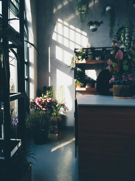 a person sitting at a counter in front of a window, inspired by Elsa Bleda, trending on unsplash, in bloom greenhouse, flower shop scene, standing under a beam of light, snapchat photo