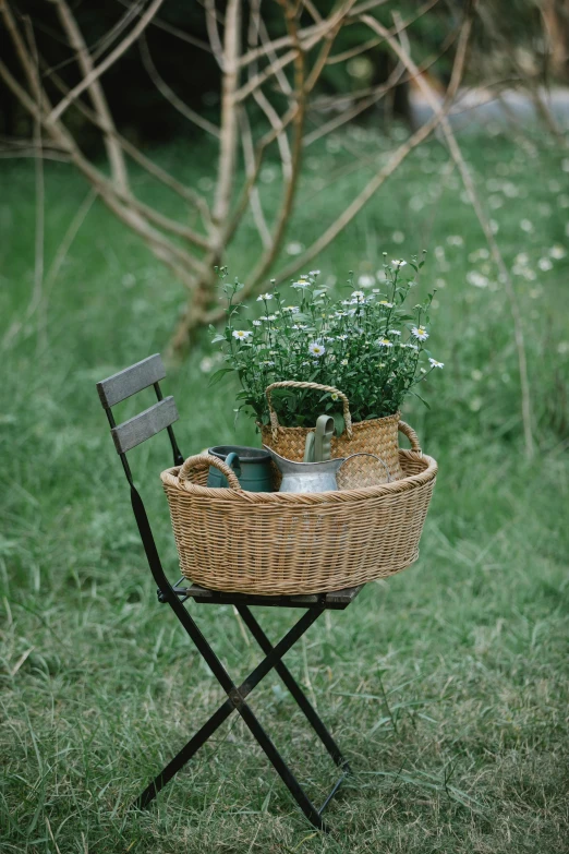 a basket filled with plants sitting on top of a chair, a picture, unsplash, renaissance, meadow flowers, medium format. soft light, two crutches near bench, garden behind the glasses