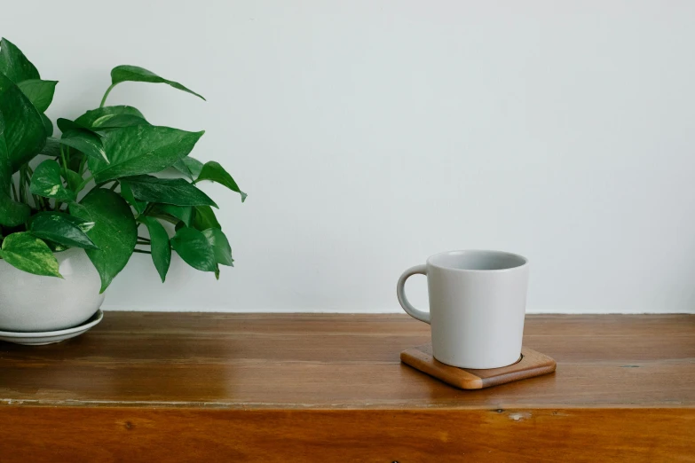 a white coffee cup sitting on top of a wooden table, unsplash, minimalism, houseplant, square, solid gray, on a wooden tray