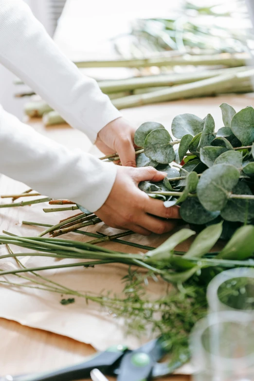 a person holding a bunch of flowers on a table, inspired by Ruth Jên, unsplash, process art, green vines, eucalyptus, handcrafted, ingredients on the table