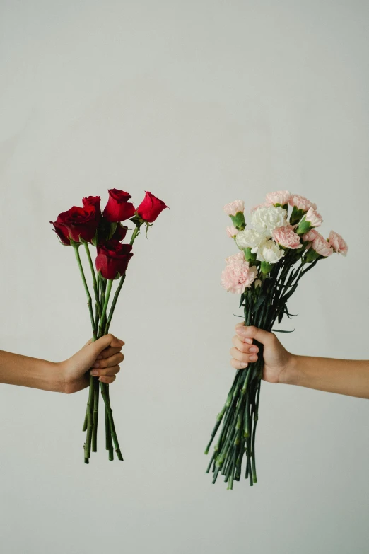 two hands holding bunches of flowers against a white background, by Jessie Algie, unsplash, roses, asian women, two tone, tall