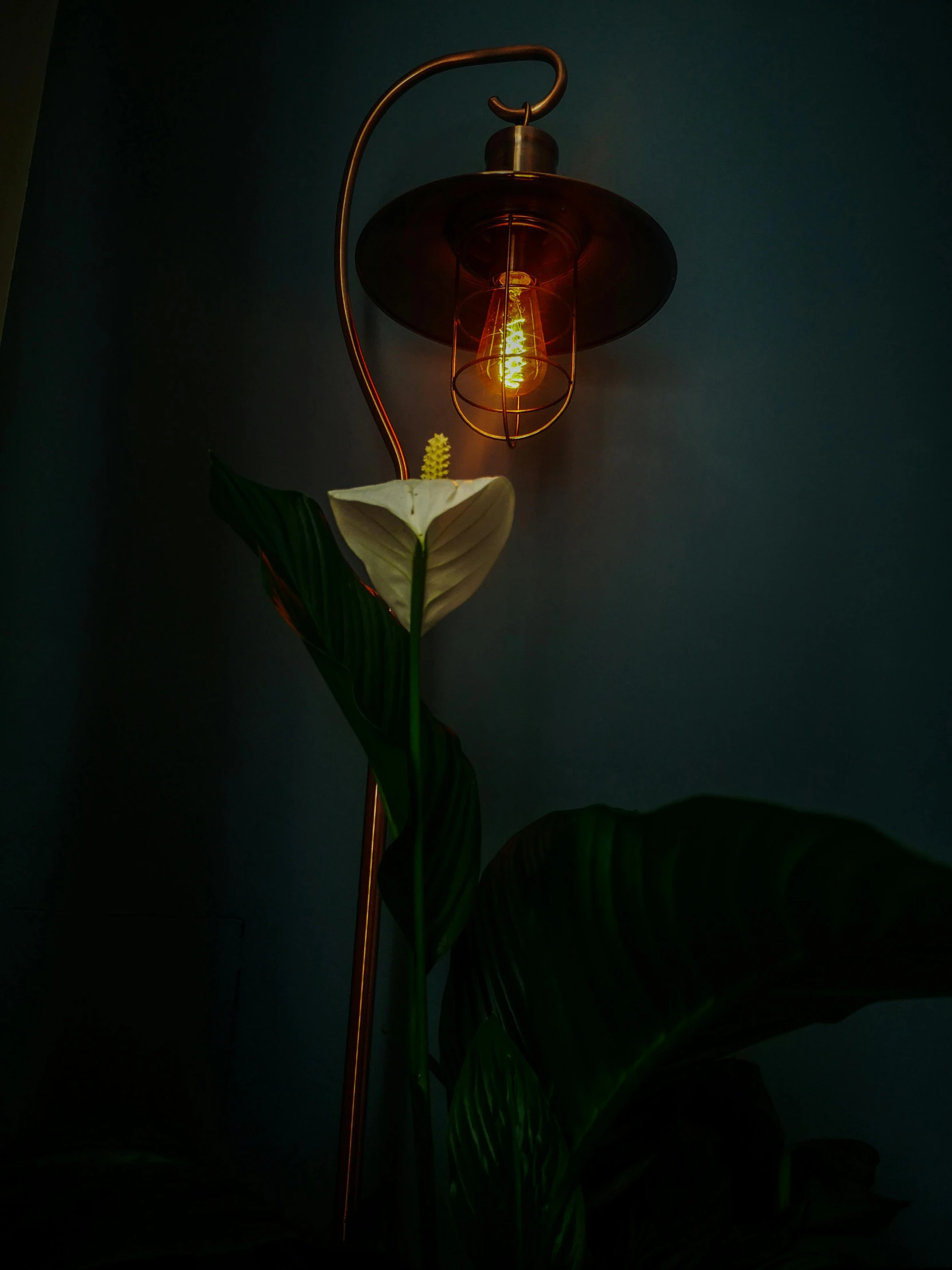 a lamp that is on a wall next to a plant, an album cover, inspired by Elsa Bleda, unsplash, art nouveau, lily, electrical details, snapchat photo, copper and emerald