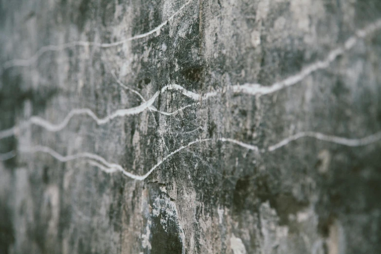 a red fire hydrant sitting on top of a cement wall, an ultrafine detailed painting, inspired by Pollock, unsplash, intricate mycelial lace, alessio albi, detail, ashford black marble