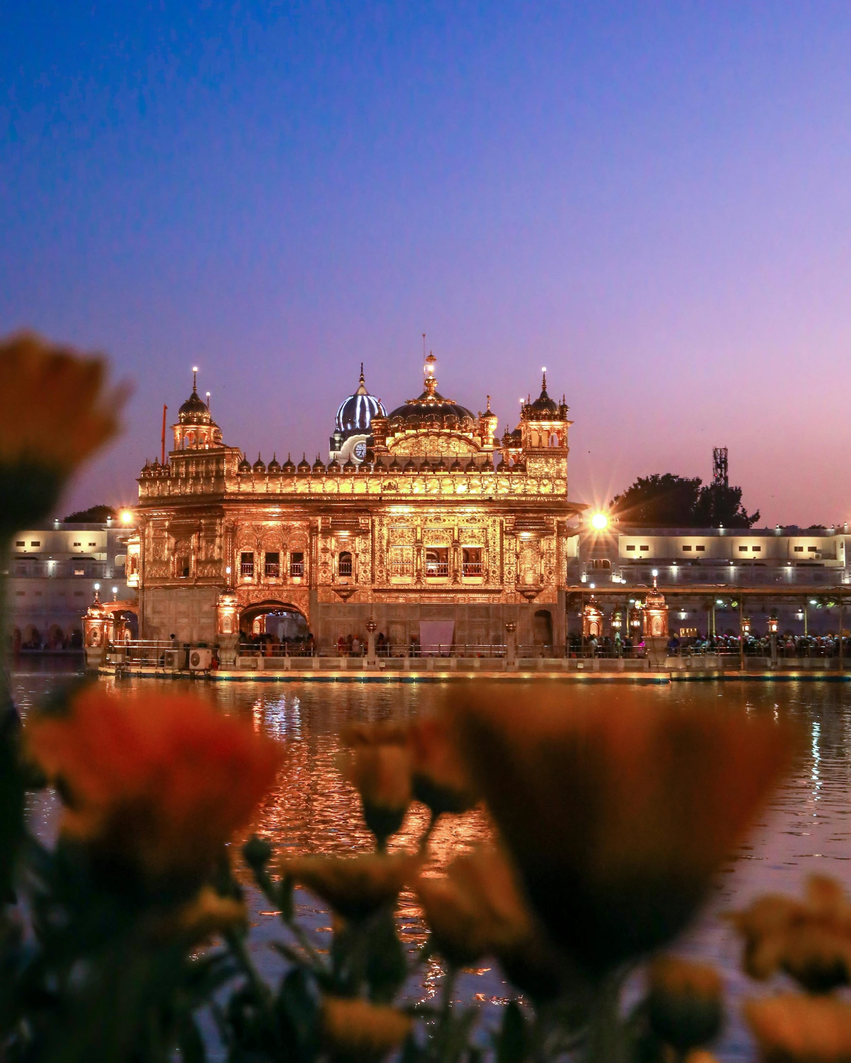 the golden temple in amrit, amrit, amrit amrit amrit amrit amrit amrit amrit amrit amrit, by Manjit Bawa, pexels contest winner, renaissance, flowers in foreground, non-binary, square, late evening