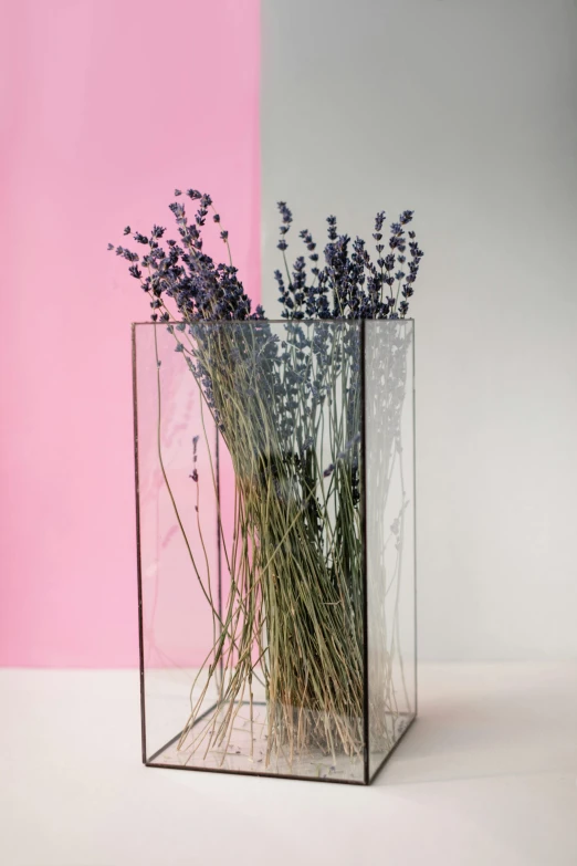 a vase that has some flowers inside of it, inspired by Emile Lahner, lavender plants, clear lines, tall, corners