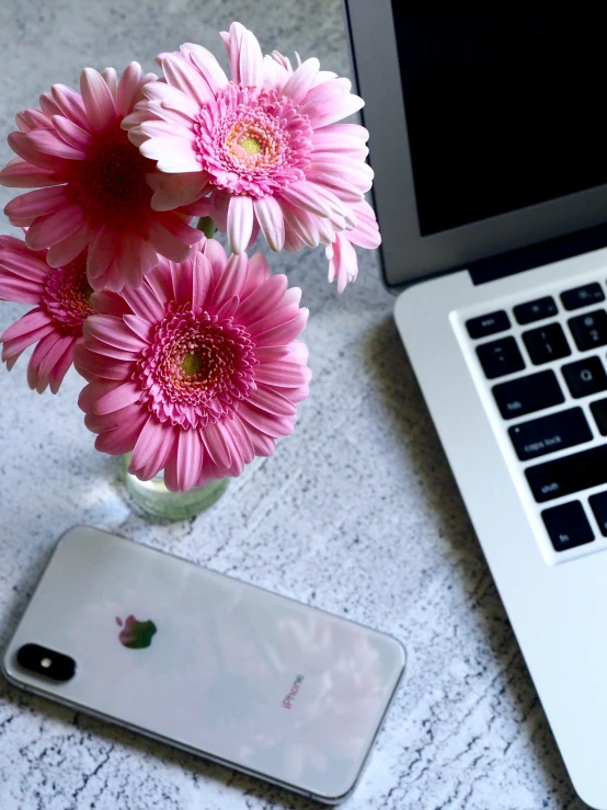 a laptop computer sitting on top of a table next to a vase of flowers, pexels, phone photo, pink accents, profile image, transparent