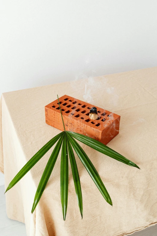 a plant sitting on top of a table next to a brick, by Ellen Gallagher, conceptual art, incense, lattice, close-up product photo, small fire