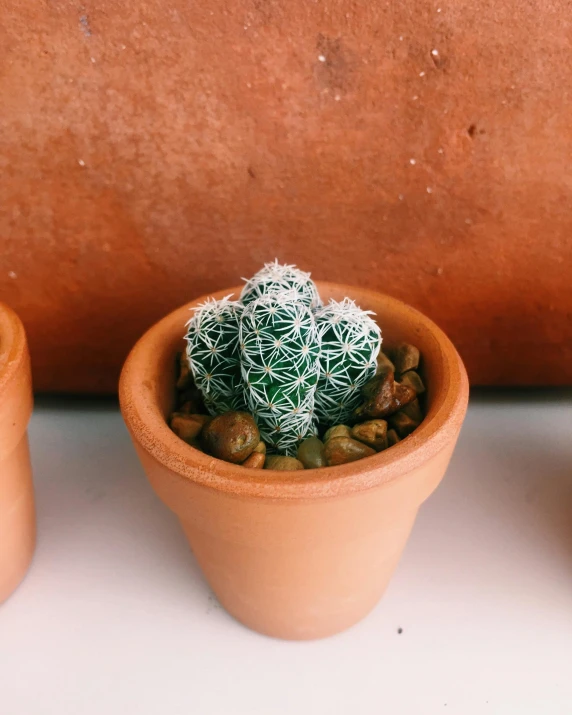 a couple of potted plants sitting on top of a table, product image, sharp spiky rocks, terracotta, close body shot