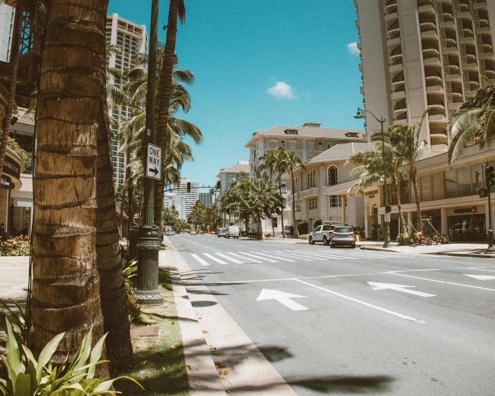 a street lined with palm trees next to tall buildings, pexels contest winner, hawaii beach, background image, intersection, hot summer day