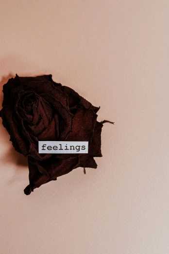 a piece of fabric with the word feelings written on it, an album cover, inspired by Elsa Bleda, trending on pexels, aestheticism, roses, concrete poetry, maroon, healing