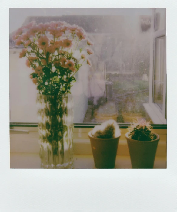 a vase of flowers sitting on a window sill, a polaroid photo, unsplash, multiple stories, low quality instant camera photo, cacti, soft outlines