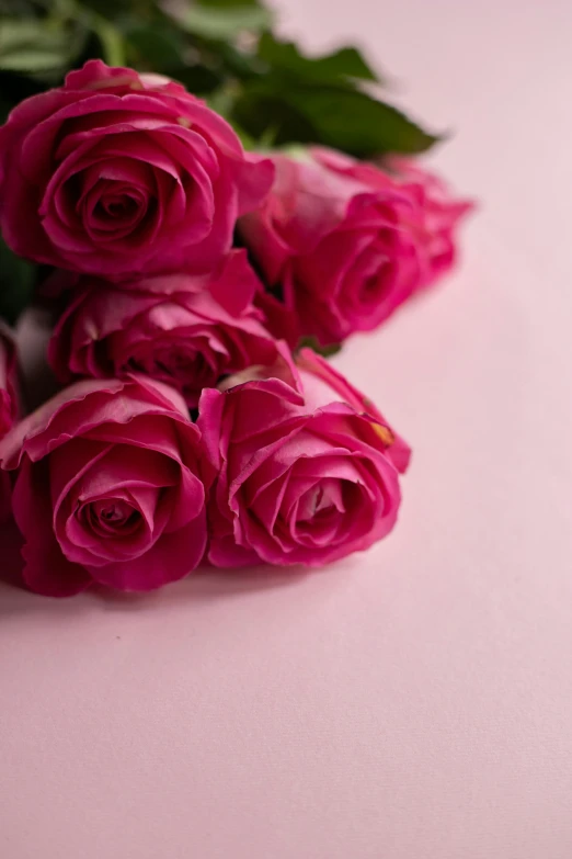 a bunch of pink roses sitting on top of a table, pink background, upclose, comforting, from the side