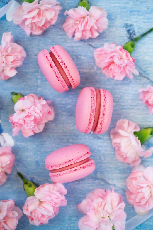 pink macarons and carnations on a blue background, pexels, ((pink)), red velvet, al fresco, she