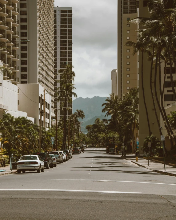 a city street lined with tall buildings and palm trees, pexels contest winner, visual art, hawaii beach, parking lot, gif, low quality photo