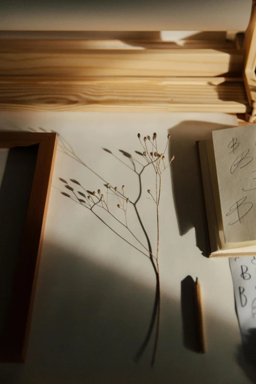 an open book sitting on top of a table, a picture, by Mei Qing, unsplash, conceptual art, trees cast shadows on the wall, flowers and stems, wooden decoration, soft light - n 9