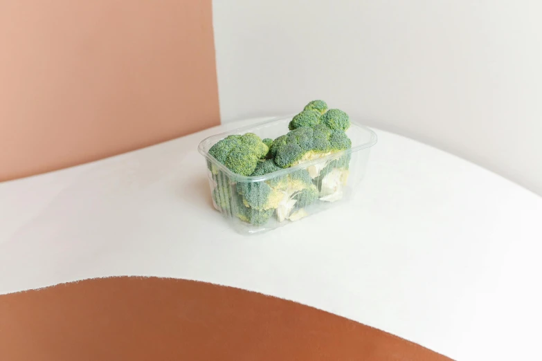 a plastic container filled with broccoli on top of a table, unsplash, hyperrealism, frank gehry, terraced, product view, mid body